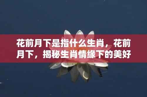 花前月下揭秘生肖情缘下的浪漫时光