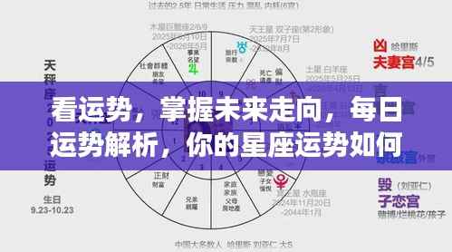 每日星座运势解析,掌握未来走向,详解你的星座运势!