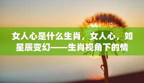 生肖视角下解读女性情感,如星辰变幻的女人心