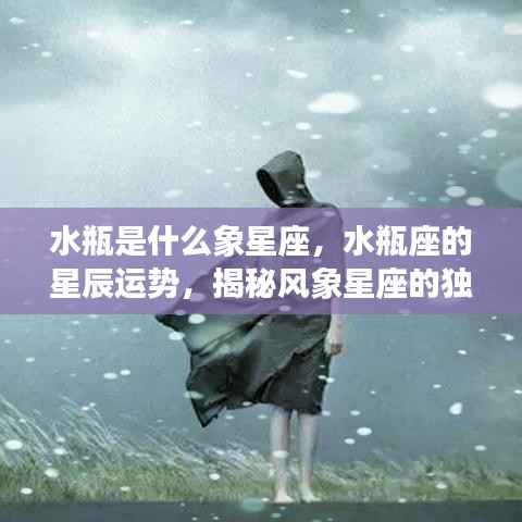揭秘水瓶座,风象星座的独特魅力与星辰运势解析