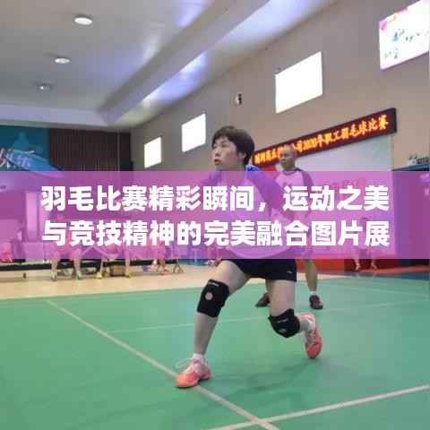 羽毛比赛精彩瞬间,运动之美与竞技精神的完美融合图片展