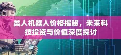 类人机器人价格揭秘,未来科技投资与价值深度探讨