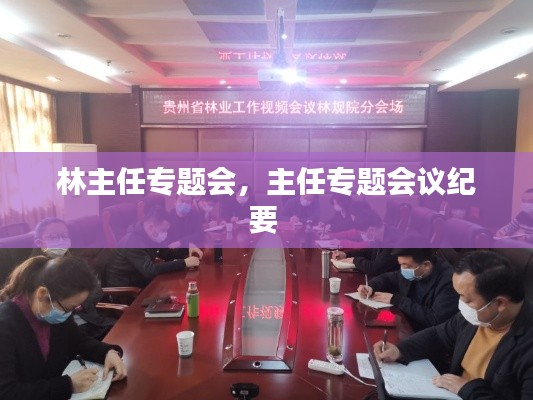 林主任专题会,主任专题会议纪要