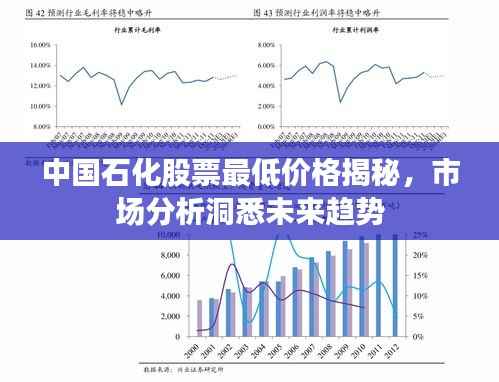 中国石化股票最低价格揭秘,市场分析洞悉未来趋势