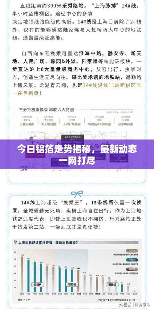 今日铝箔走势揭秘,最新动态一网打尽