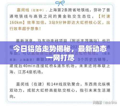 今日铝箔走势揭秘,最新动态一网打尽