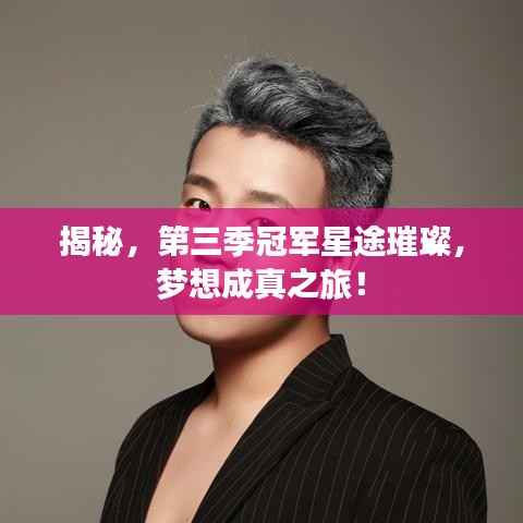 揭秘，第三季冠军星途璀璨，梦想成真之旅！