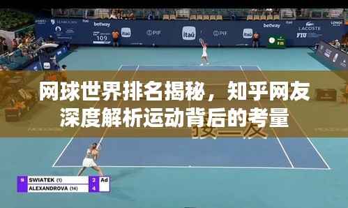 网球世界排名揭秘,知乎网友深度解析运动背后的考量