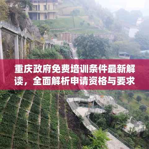 重庆政府免费培训条件最新解读,全面解析申请资格与要求