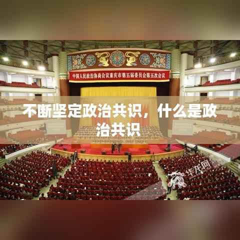 不断坚定政治共识,什么是政治共识