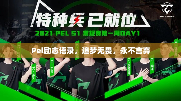 量入为出 第5页