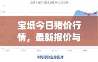 宝坻今日猪价行情,最新报价与市场走势分析