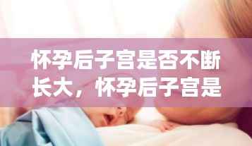 怀孕后子宫是否不断长大,怀孕后子宫是不是越来越大