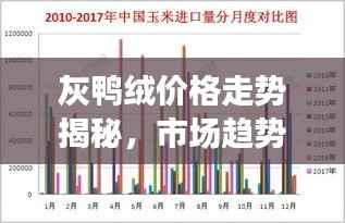 灰鸭绒价格走势揭秘,市场趋势、影响因素与未来展望分析