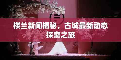 楼兰新闻揭秘,古城最新动态探索之旅