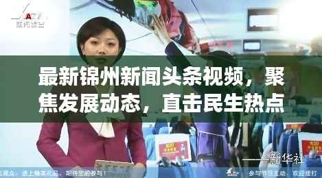 最新锦州新闻头条视频,聚焦发展动态,直击民生热点(18号独家报道)