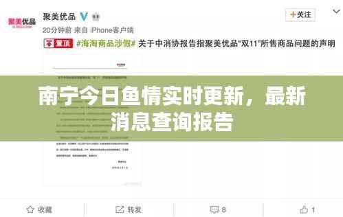 南宁今日鱼情实时更新,最新消息查询报告