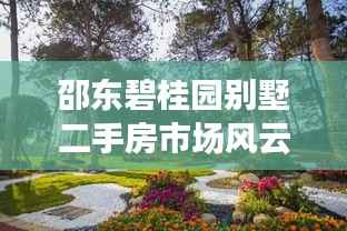 邵东碧桂园别墅二手房市场风云再起,最新动态揭秘